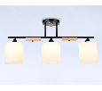 Подвесной светильник Ambrella Light TR9551