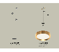 Комплект напольного поворотного светильника Ambrella Light XB9816152