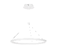 Светильник SP-CONGO-CAN-1-R600-36W Day4000 (WH, 120 deg, 230V) (Arlight, IP20 Металл, 5 лет) 046230