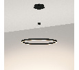 Светильник SP-CONGO-CAN-1-R600-36W Day4000 (BK, 120 deg, 230V) (Arlight, IP20 Металл, 5 лет) 046234