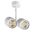 Светильник точечный накладной под заменяемые галогенные или LED лампы Rullo Lightstar 214446