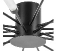 Люстра потолочная Ragno Lightstar 732187