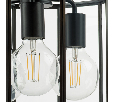 Люстра потолочная Genni Lightstar 798237