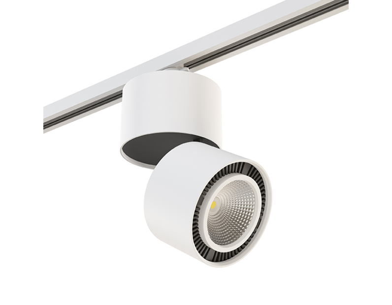 Комплект со светильником Forte Forte Muro Lightstar A1T213816