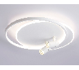 Настенно-потолочный светодиодный светильник с пультом Ambrella Light FL51391