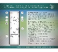Настенно-потолочный светодиодный светильник с пультом Ambrella Light FL51391