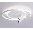 Настенно-потолочный светодиодный светильник с пультом Ambrella Light FL51391