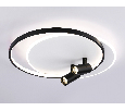 Настенно-потолочный светодиодный светильник с пультом Ambrella Light FL51392
