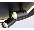 Настенно-потолочный светодиодный светильник с пультом Ambrella Light FL51393