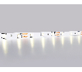 Светодиодная лента Ambrella Light GS1002 2835 60Led /4.8W m/ 12V IP20 4500K 5m /кратность резки 50mm Ambrella Light GS1002
