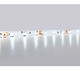 Светодиодная лента Ambrella Light GS1003 2835 60Led /4.8W m/ 12V IP20 6500K 5m/ кратность резки 50mm Ambrella Light GS1003