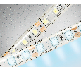 Светодиодная лента Ambrella Light GS1203 2835 120Led /9.6W m/ 12V IP65 6500K 5m/кратность резки 25mm Ambrella Light GS1203
