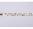 Светодиодная лента двухрядная Ambrella Light GS1701 2835 240Led /24W m/ 12V IP20 3000K 5m Ambrella Light GS1701