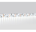 Светодиодная лента двухрядная Ambrella Light GS1703 2835 240Led /24W m/ 12V IP20 6500K 5m Ambrella Light GS1703