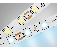 Светодиодная лента Ambrella Light GS2003 5050 60Led /14.4W m/ 12V IP20 6500K 5m Ambrella Light GS2003