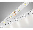 Светодиодная лента Ambrella Light GS3002 2835 60Led /6W m/ 24V IP20 4500K 5m Ambrella Light GS3002