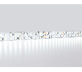 Светодиодная лента двухрядная Ambrella Light GS3703 2835 240Led /24W m/ 24V IP20 6500K 5m Ambrella Light GS3703