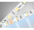 Светодиодная лента с регулировкой температуры света GS4101 5050 60Led /14W m/ 24V IP20 CCT 3000-6500 Ambrella Light GS4101