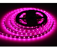 Светодиодная лента RGB с холодным белым светом GS4403 5050 60Led /10W m/ 24V IP20 RGBW+6500K 5m Ambrella Light GS4403