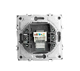 Розетка компьютерная 1-местная RJ-45 (механизм), STEKKER, серия Эмили, RST00-5117-10, платиново-серый, soft touch 49951