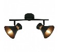 Спот Arte Lamp Baltimore A1406AP-2BK