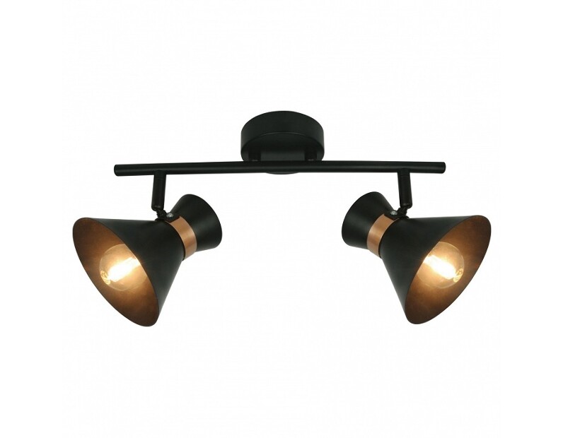 Спот Arte Lamp Baltimore A1406AP-2BK