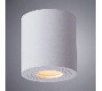 Накладной светильник Arte Lamp Galopin A1460PL-1WH