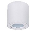 Накладной светильник Arte Lamp Beid A1513PL-1WH