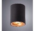 Накладной светильник Arte Lamp Torre A1532PL-1BK