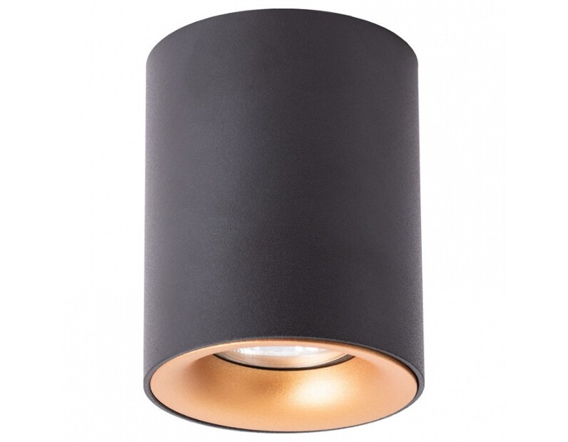 Накладной светильник Arte Lamp Torre A1532PL-1BK