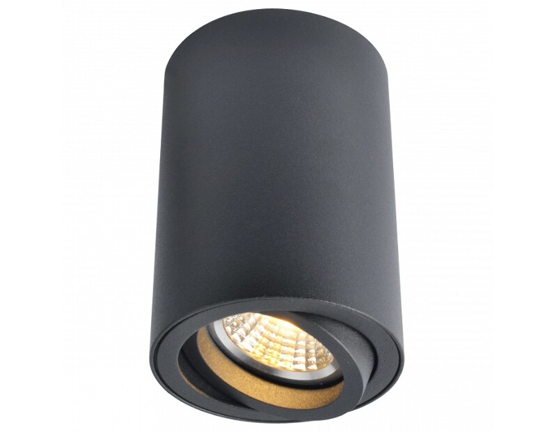 Накладной светильник Arte Lamp Sentry A1560PL-1BK