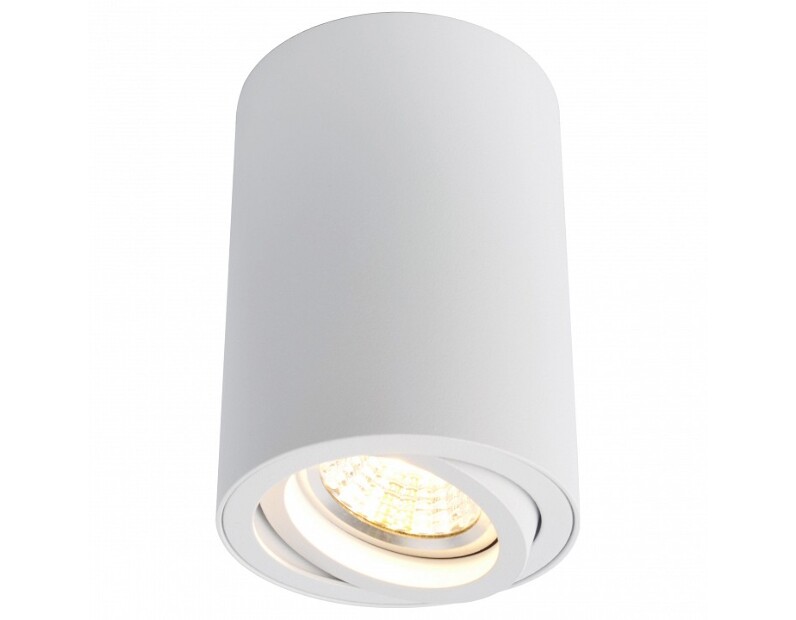 Накладной светильник Arte Lamp Sentry A1560PL-1WH