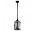 Подвесной светильник Arte Lamp Arwen A1902SP-1BK