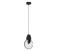 Подвесной светильник Arte Lamp Hannah A1916SP-1BK
