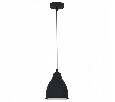 Подвесной светильник Arte Lamp Braccio A2054SP-1BK