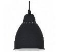 Подвесной светильник Arte Lamp Braccio A2054SP-1BK