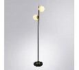 Торшер Arte Lamp Alcor A2224PN-2BK