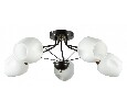 Потолочная люстра Arte Lamp Brighton A2706PL-5CK