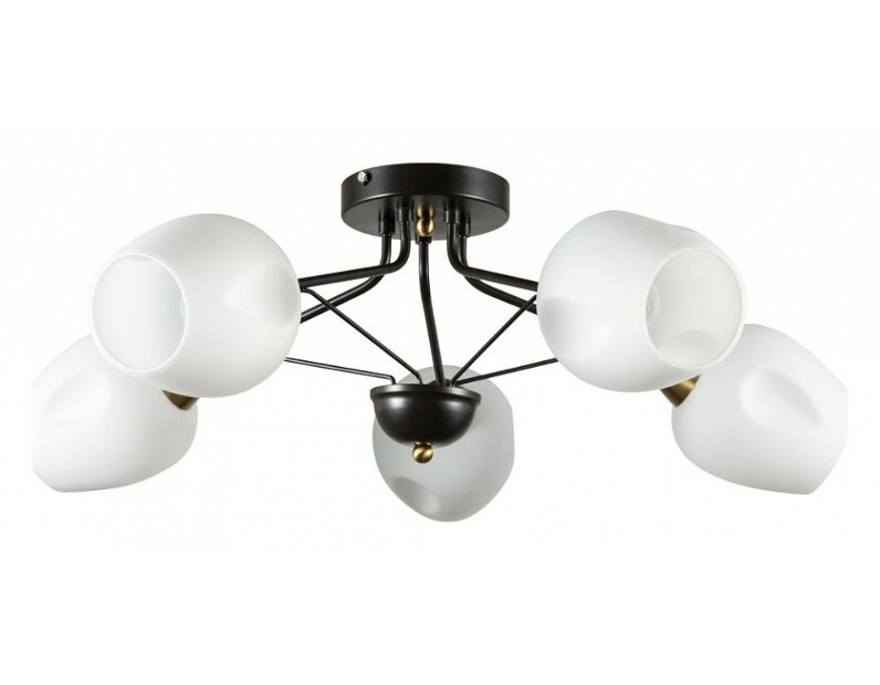 Потолочная люстра Arte Lamp Brighton A2706PL-5CK