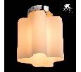 Накладной светильник Arte Lamp Serenata A3479PL-1CC