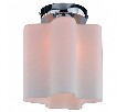 Накладной светильник Arte Lamp Serenata A3479PL-1CC