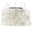 Подвесная люстра Arte Lamp Pipirima A4041SP-5CC