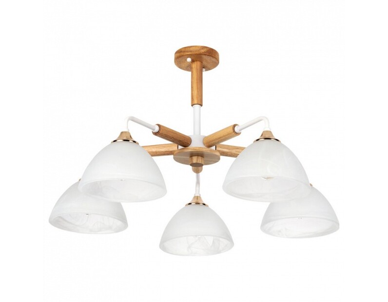 Люстра на штанге Arte Lamp Matthew A5032PL-5BR