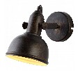 Спот Arte Lamp Martin A5213AP-1BR