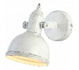 Спот Arte Lamp Martin A5213AP-1WG