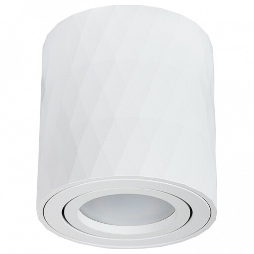 Накладной светильник Arte Lamp Fang A5559PL-1WH