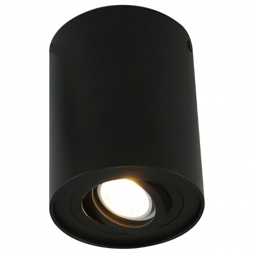 Накладной светильник Arte Lamp 5644 A5644PL-1BK