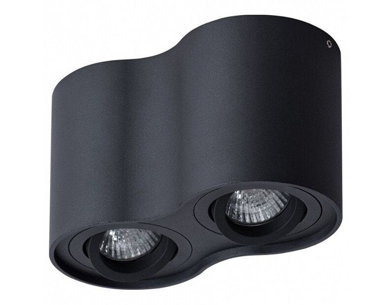Накладной светильник Arte Lamp Falcon A5645PL-2BK