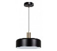 Подвесной светильник Arte Lamp Skat A7052SP-1BK