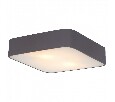 Накладной светильник Arte Lamp Cosmopolitan A7210PL-2BK
